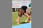 Sportfest_Geraetturnen_2013_07_21_IMG_3624_k.jpg